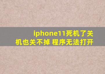 iphone11死机了关机也关不掉 程序无法打开